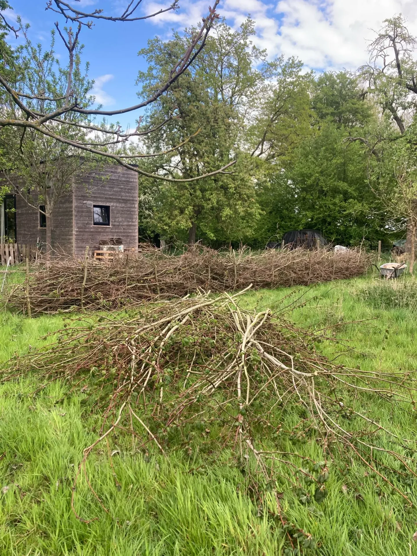Tiny House - Sieglinde Heymans